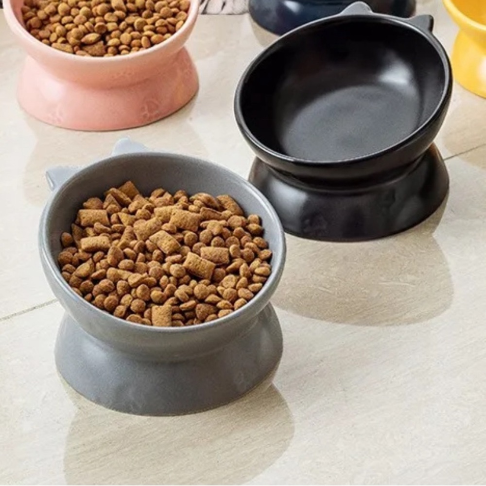 Elevated tilted ceramic cat bowl